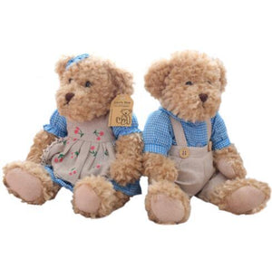 Lovely Mini Teddy Bear Couple Stuff Toys ( 26cm )